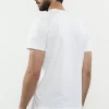 Shop Peserico T-Shirt In Jersey Di Puro Cotone Mako Con Stampa